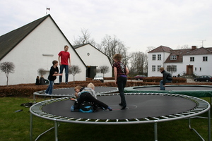 Buske videoer
